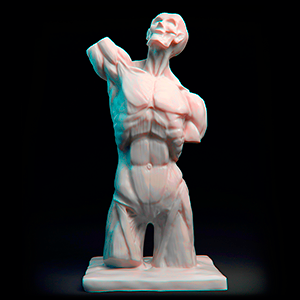 Мюнхенский торс, 3d модель, скульптинг